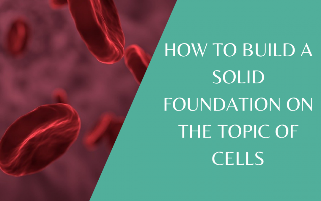 Important key points in KS3 Biology Cells Topic