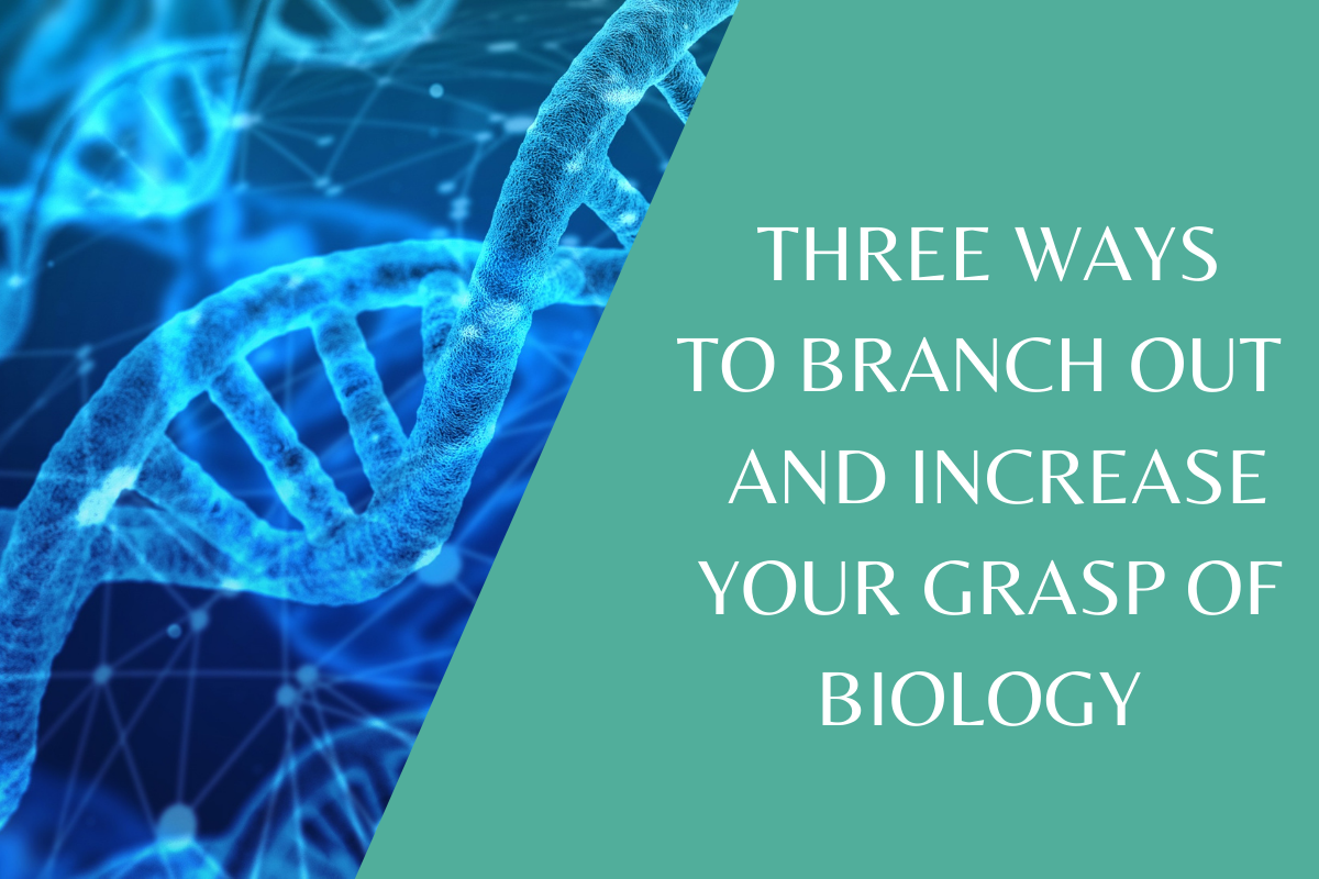 How to improve your KS3 Biology results