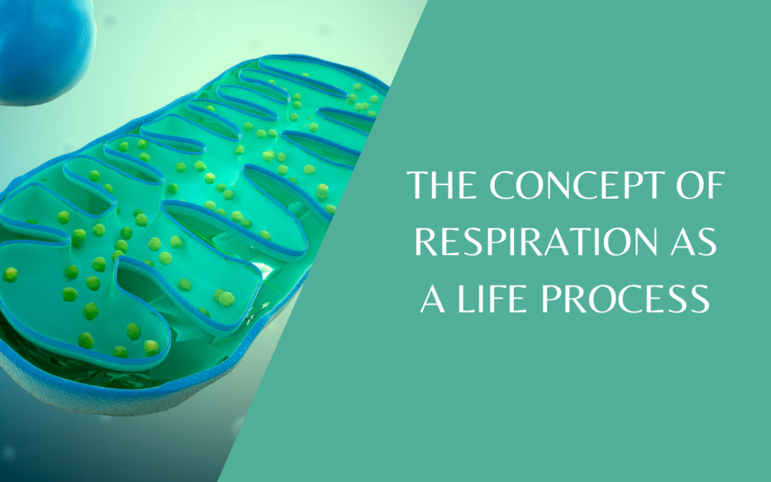 Grasping the concept of respiration as a life process