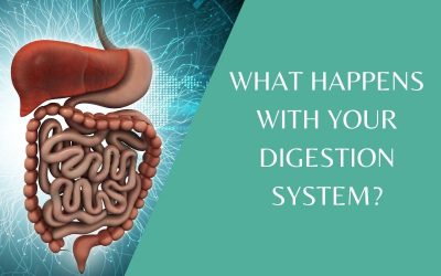 What are the processes in digestion? What exactly happens?