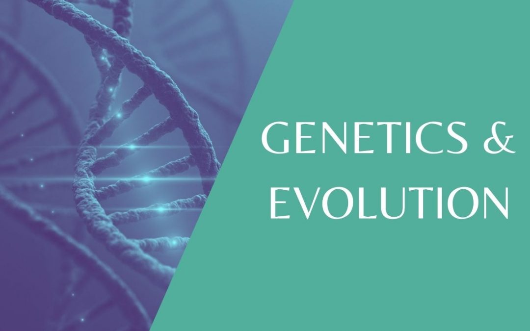 Genetics & Evolution – The key areas you need to know about