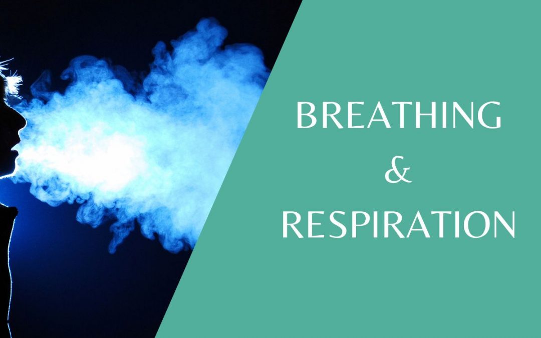 Five things you need to know about Breathing & Respiration